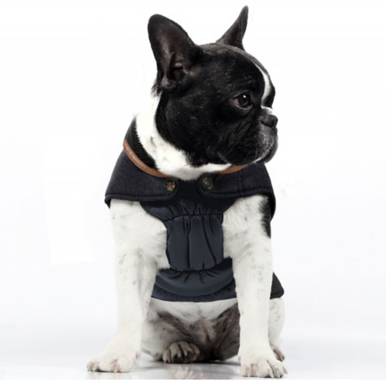 Milk & Pepper Hundejacke Avoriaz mit abnehmbarer Kapuze auch für Mops