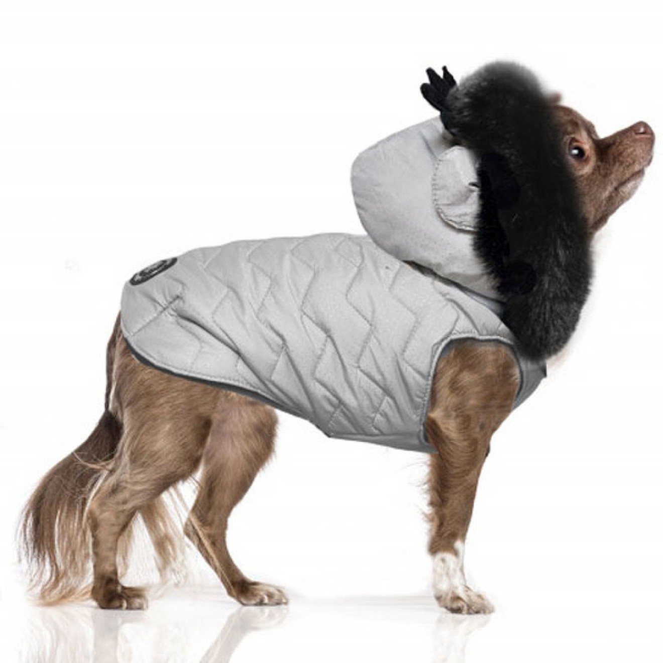 Milk & Pepper Hundejacke Kasper für kleine & mittlere Rassen Gr. 38, 41