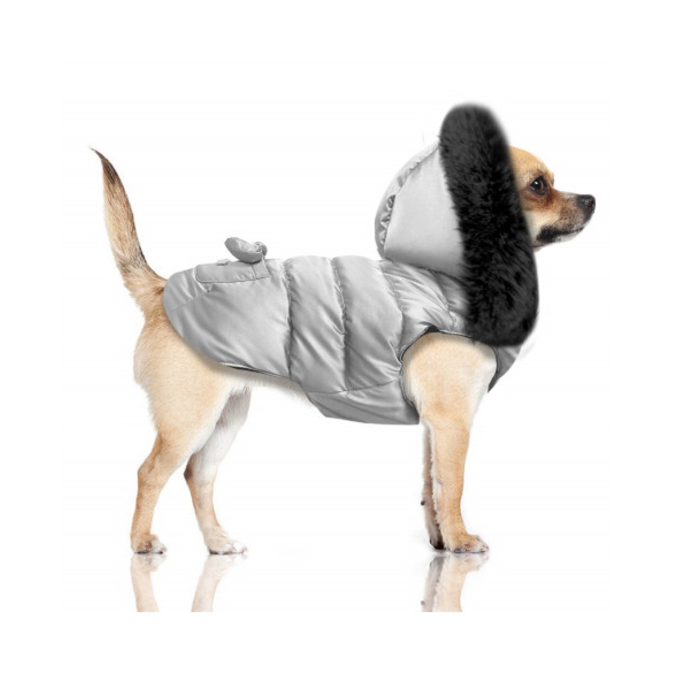 Milk & Pepper Hundejacke KATJA für kleine & mittlere Rassen