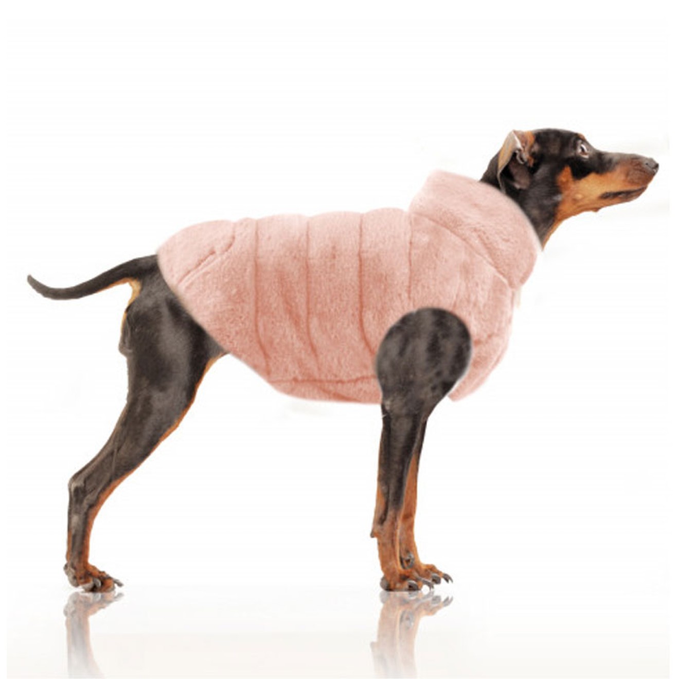 Milk & Pepper Wende-Hundejacke Nikita rose für kleine Hunde