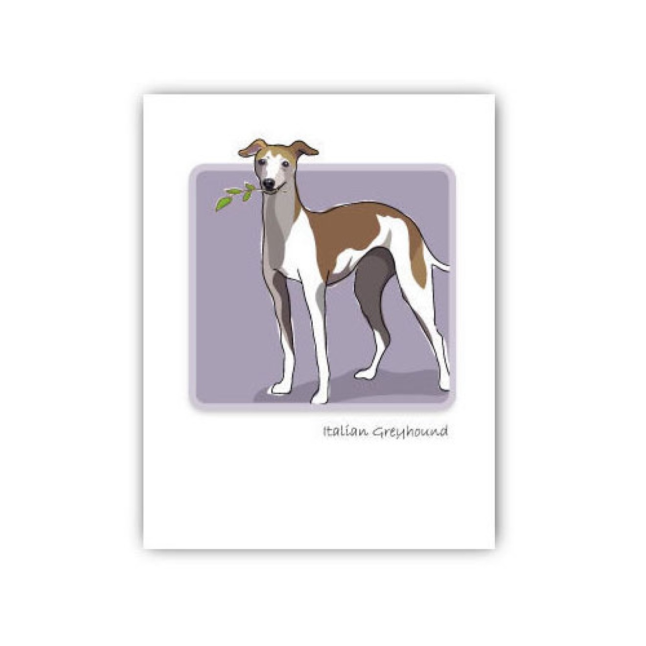 Grußkartenset Italien Greyhound
