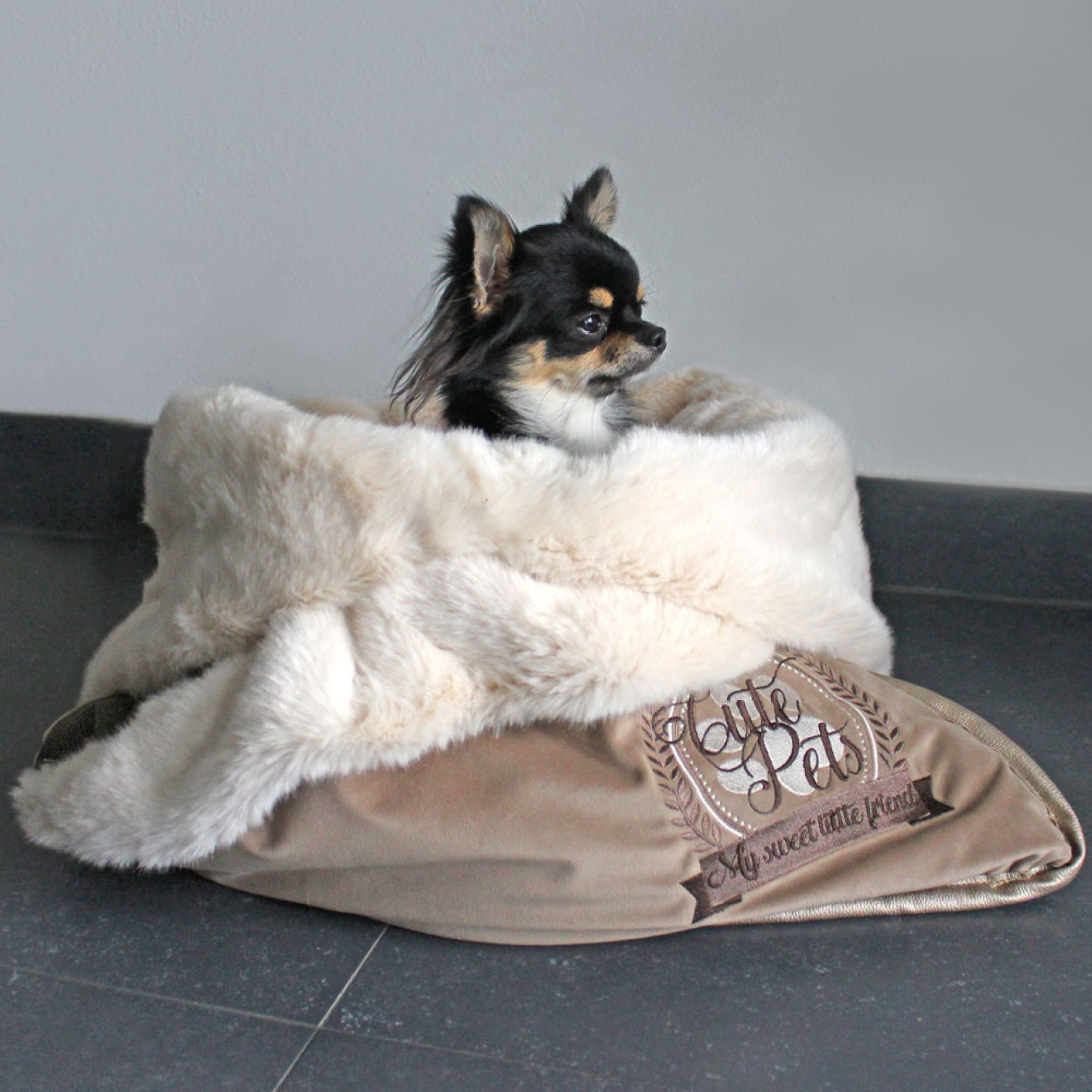 Kuschelsack Chihuahua