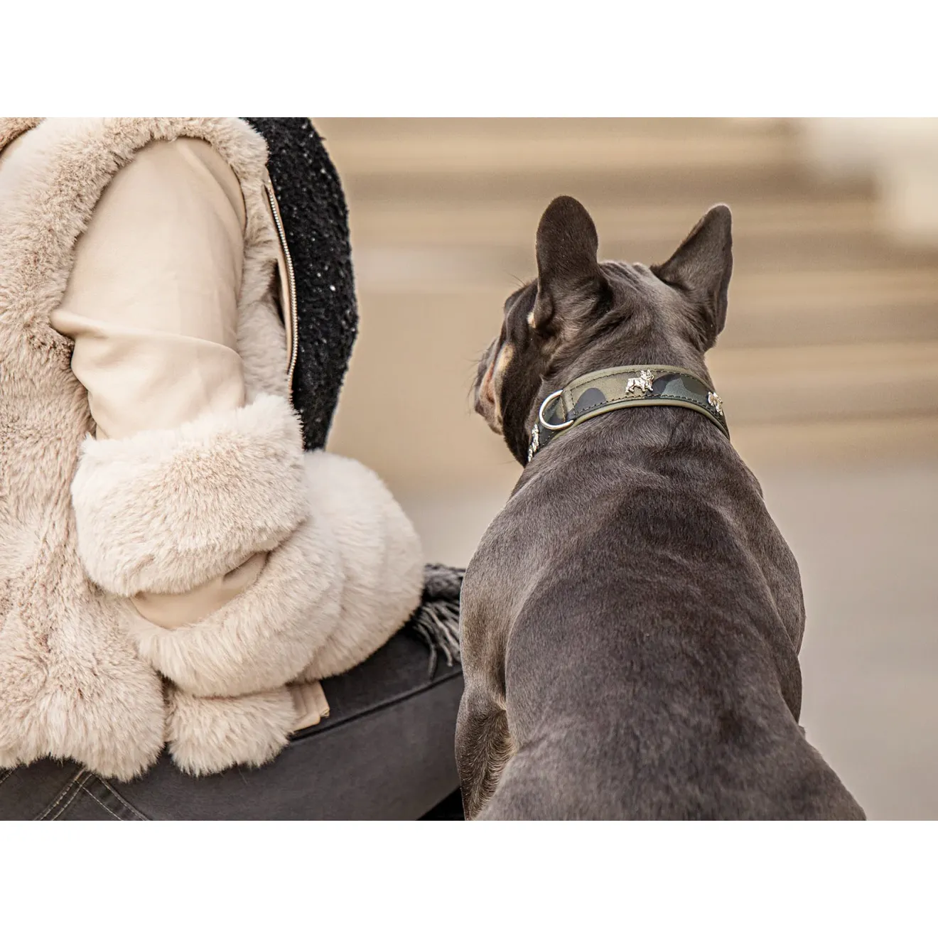 Bulldoggen-Hundehalsband Leder Camouflage