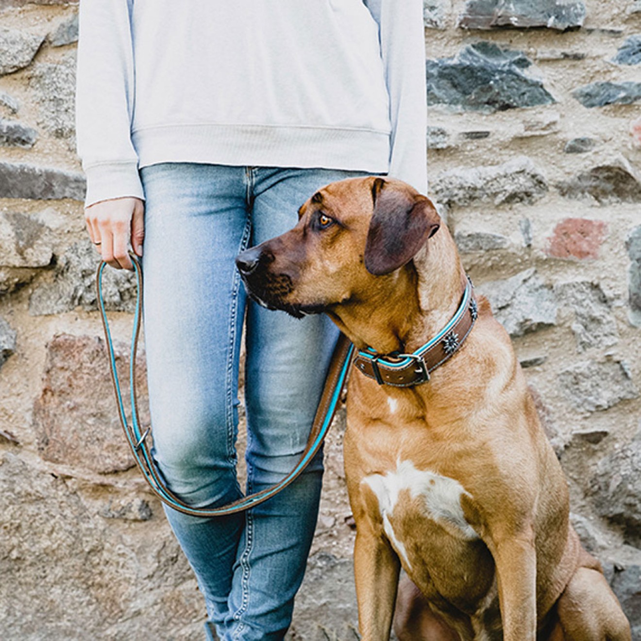 Leder-Hundehalsband Edelweiß petrol