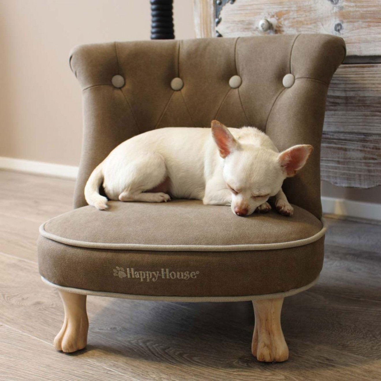 Luxus-Hundesessel taupe