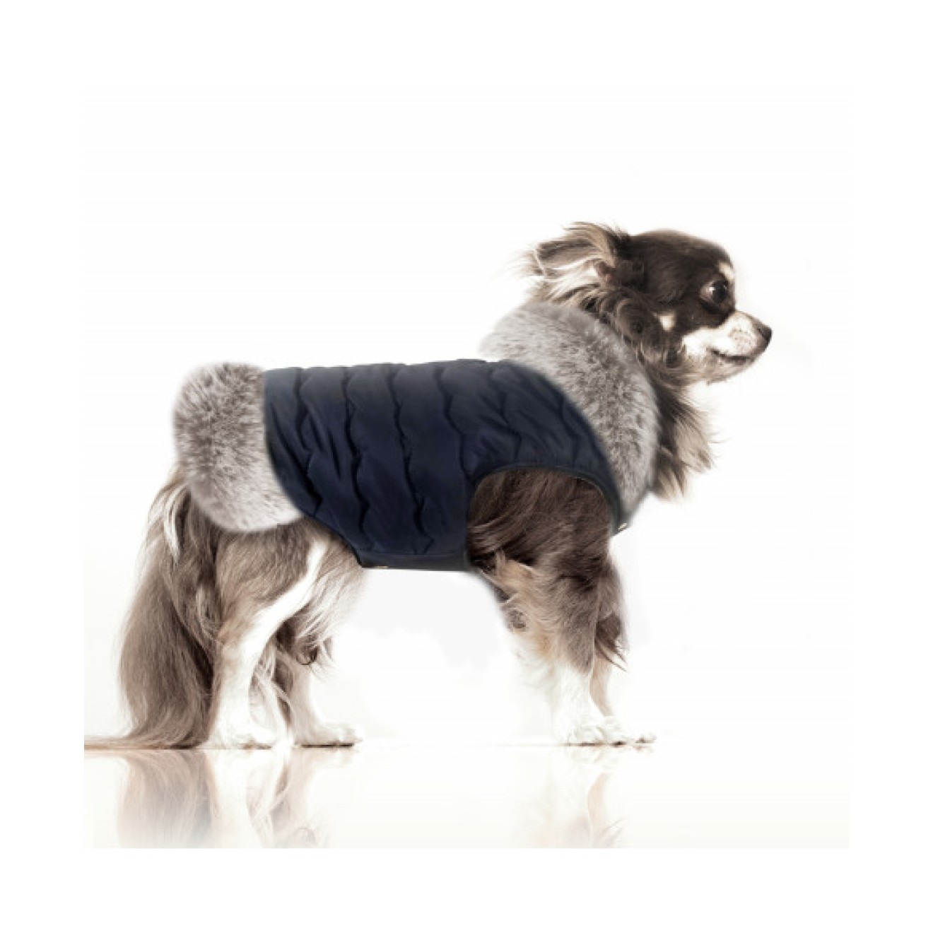 Milk & Pepper Hundemantel EMMA Navy