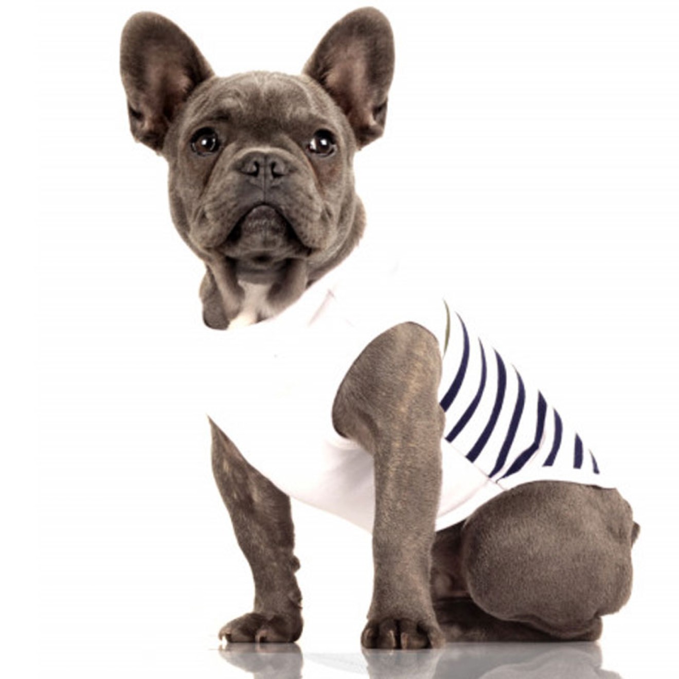 Maritimes T-Shirt für Hunde BRIEUC Milk & Pepper