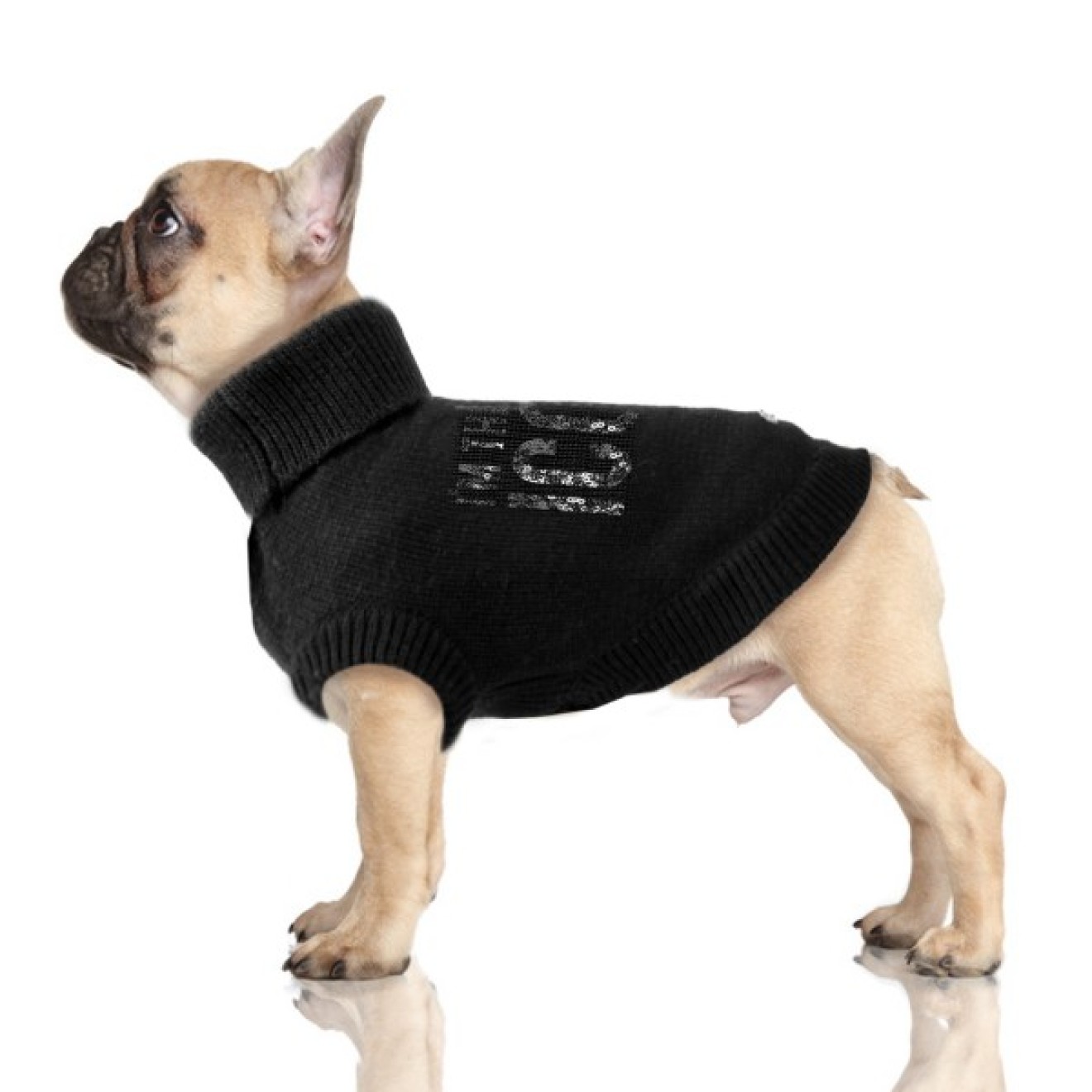 Hundepullover ICON black für Mops & Bully