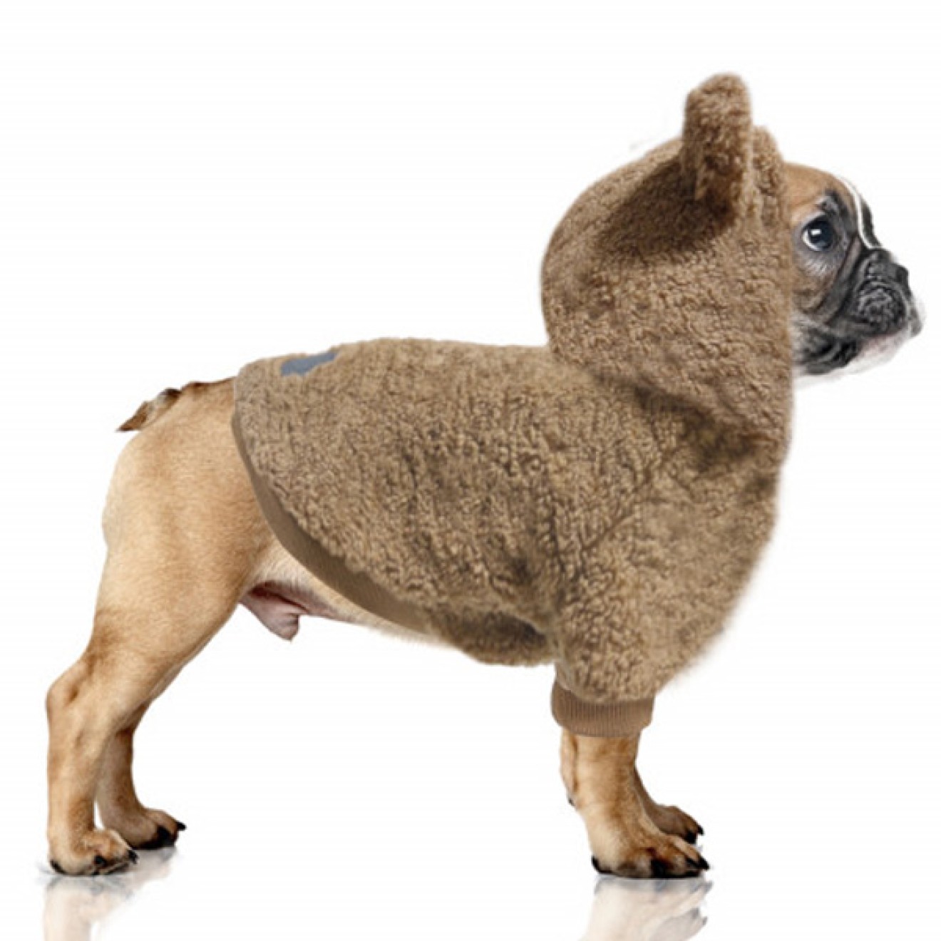 Milk & Pepper gefütterter Hundehoodie Ayden camel