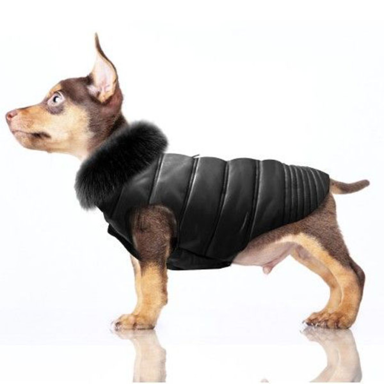 Milk & Pepper Hundemantel Marlon mit Kunstfell-Kragen schwarz