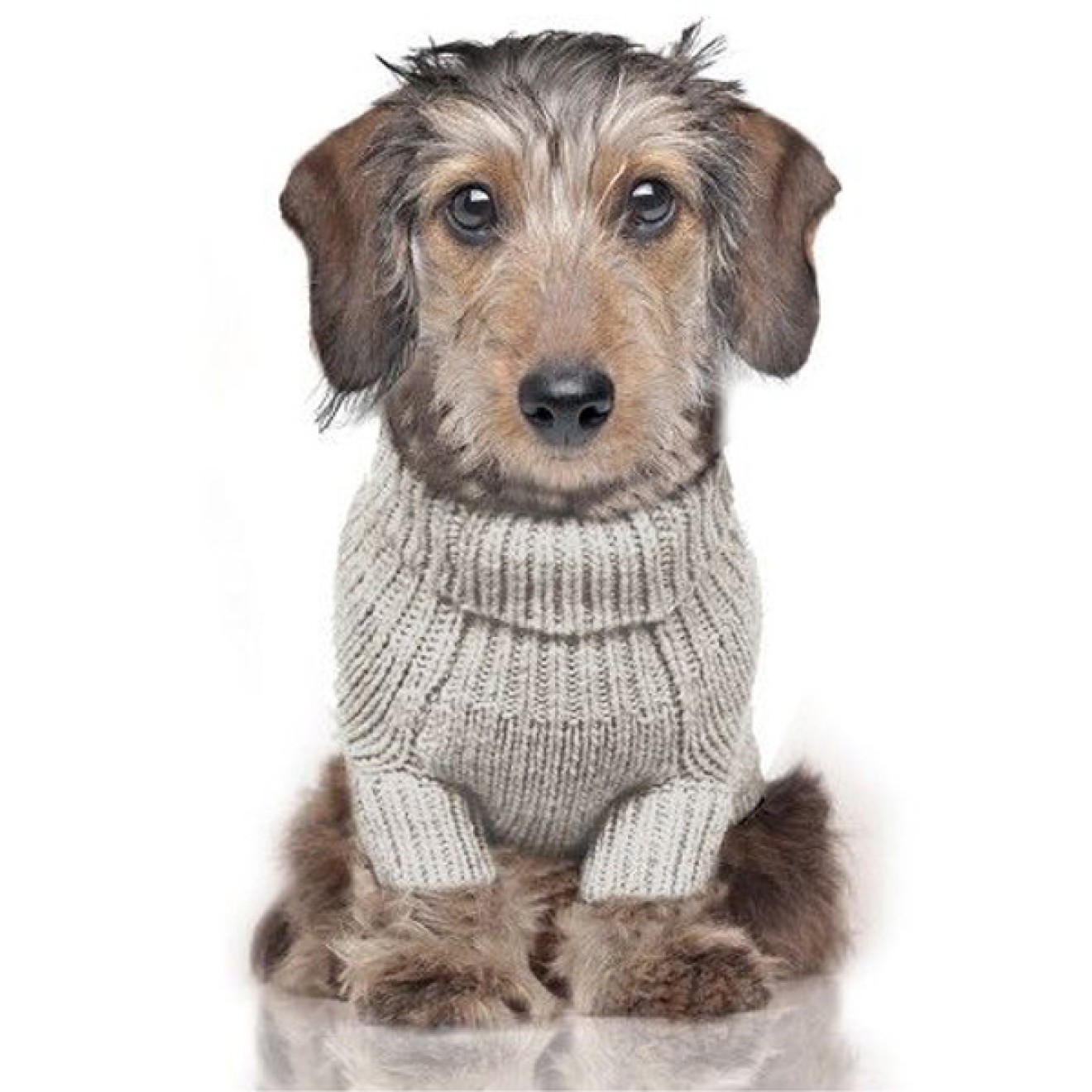 Milk & Pepper Strick-Hundepullover Irish Ecru