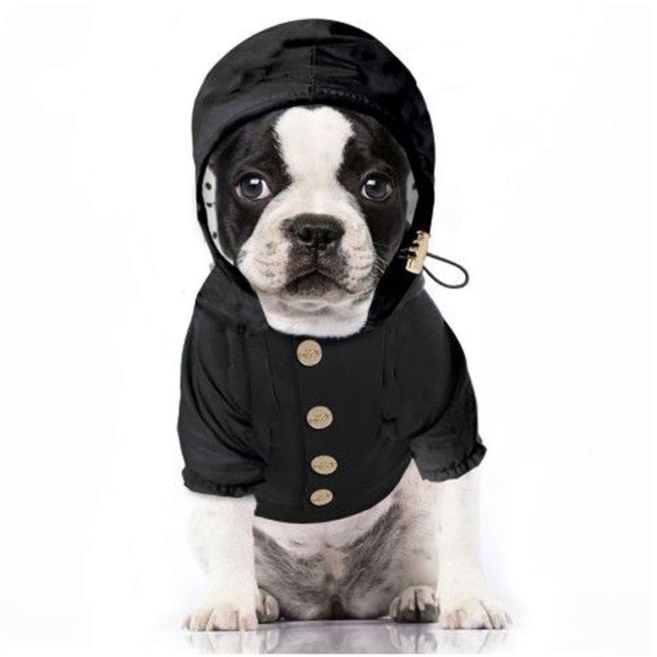 Milk & Pepper Windbreaker ARKO für Hunde