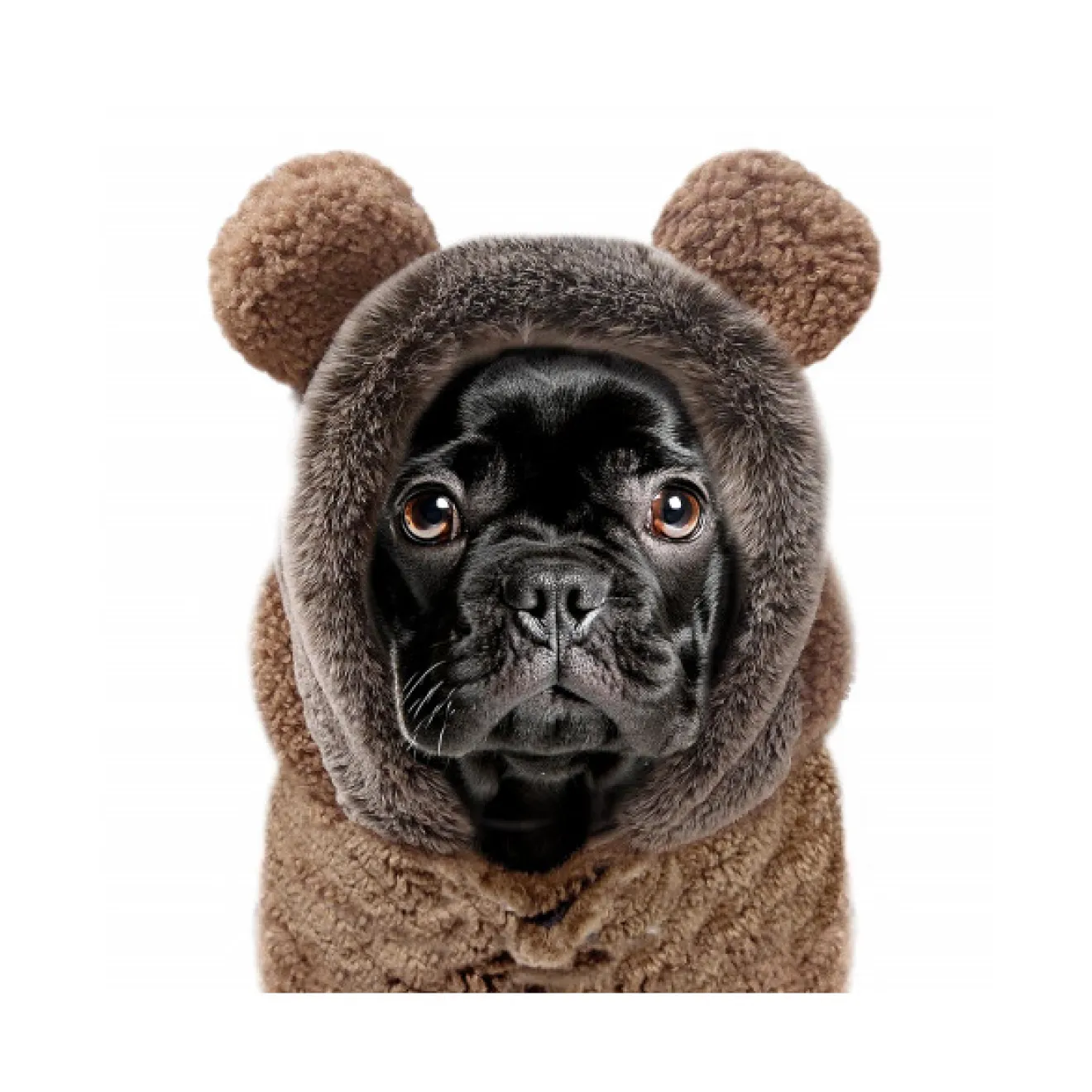 Milk & Pepper gefütterter Hundehoodie ERNEST camel