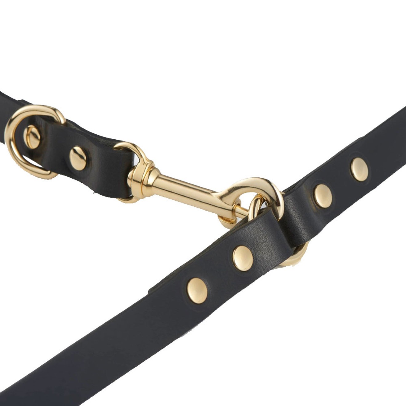 Multifunktionslederleine Infinity schwarz