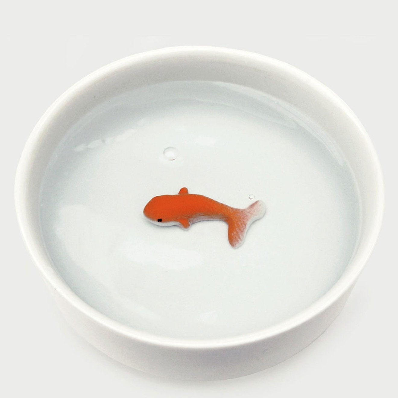 Designer-Napf mit Fisch in 3D-Optik