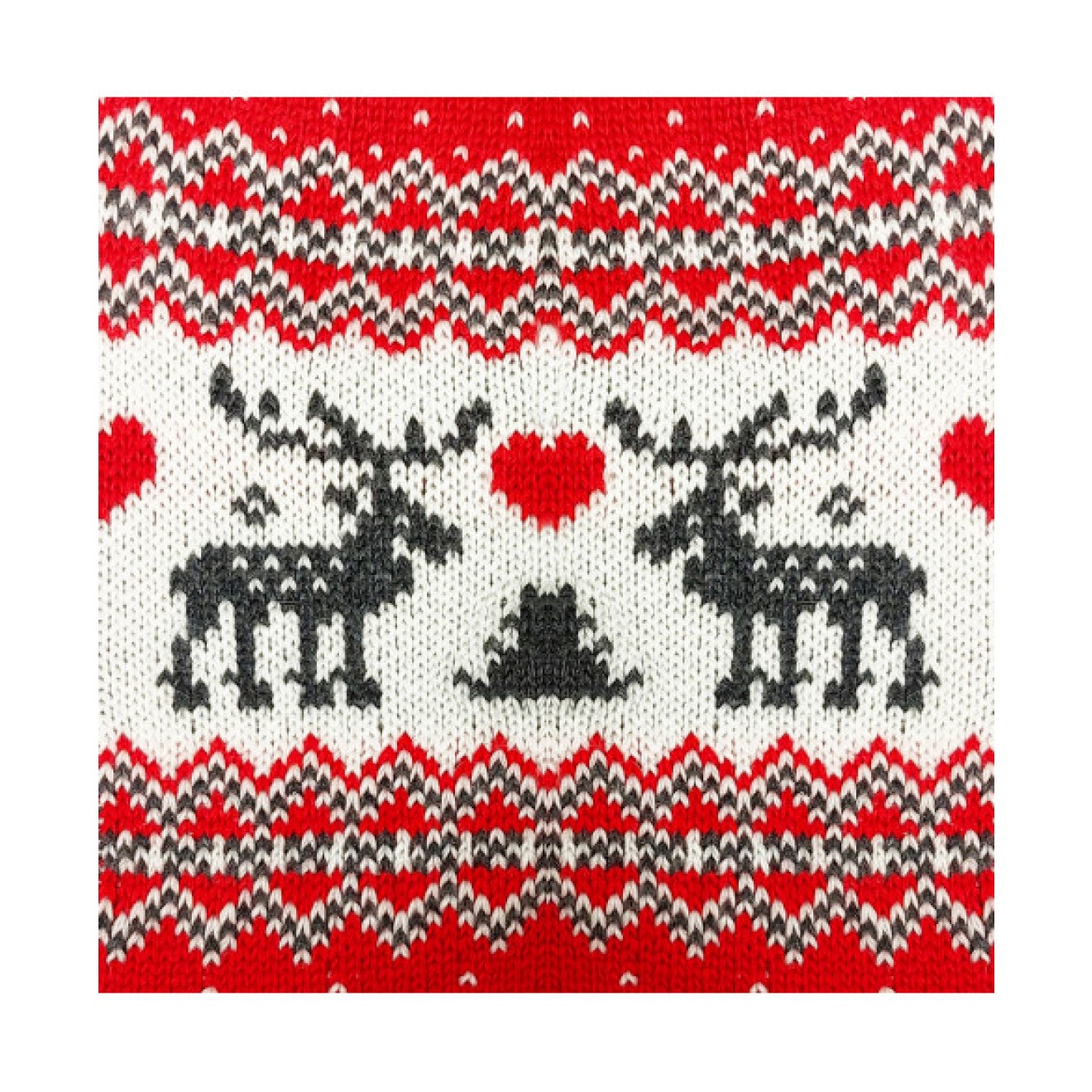 Norweger-Hundepulli FERGUS auch für Mops & Bully