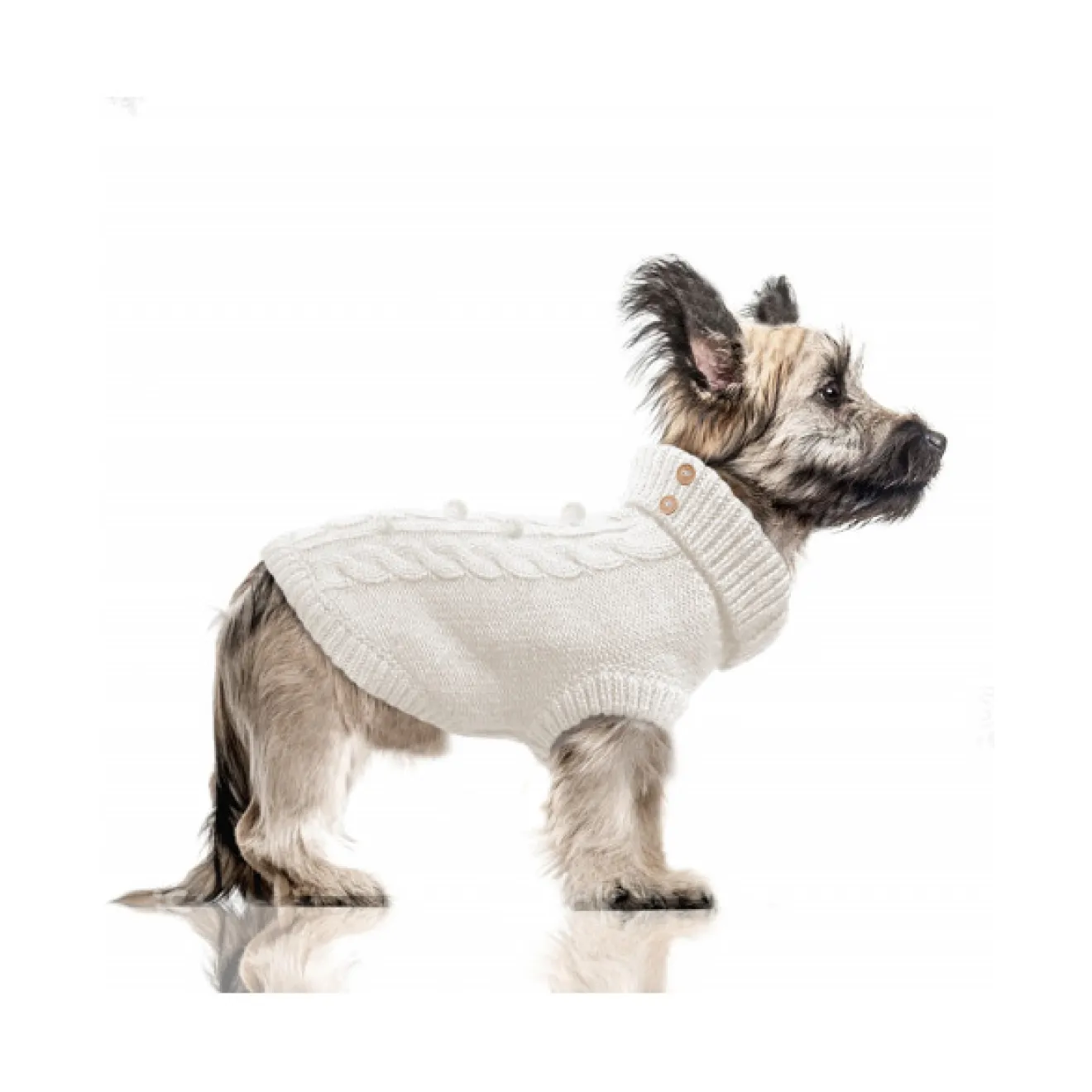 Zopfstrick-Hundepullover KEELAN off-white auch für Dackel