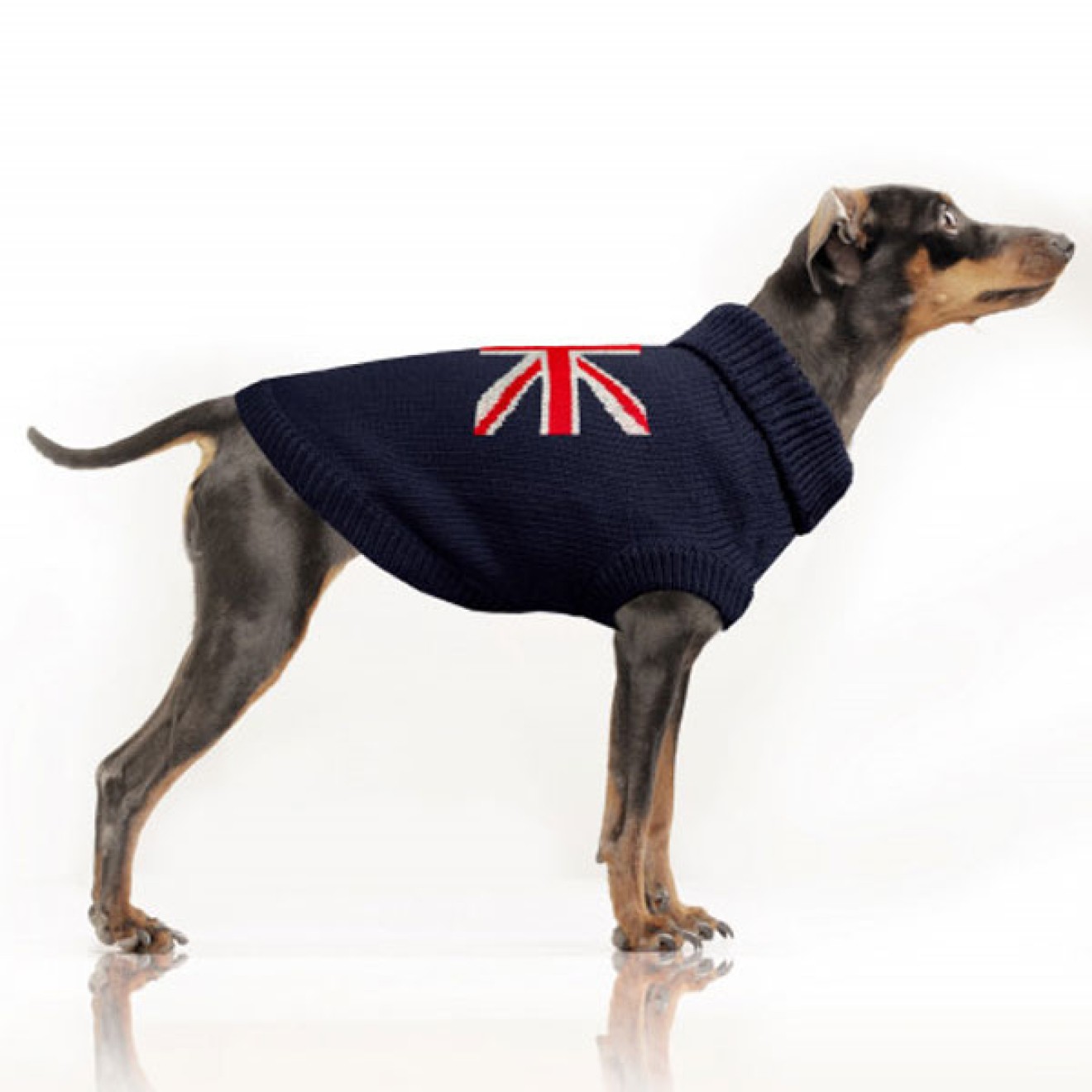 Milk & Pepper Hundepullover Union Jack auch für Mops & Bully
