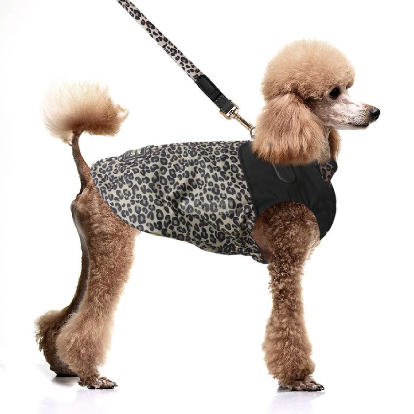 Leo-Regenjacke HAWA für Hunde