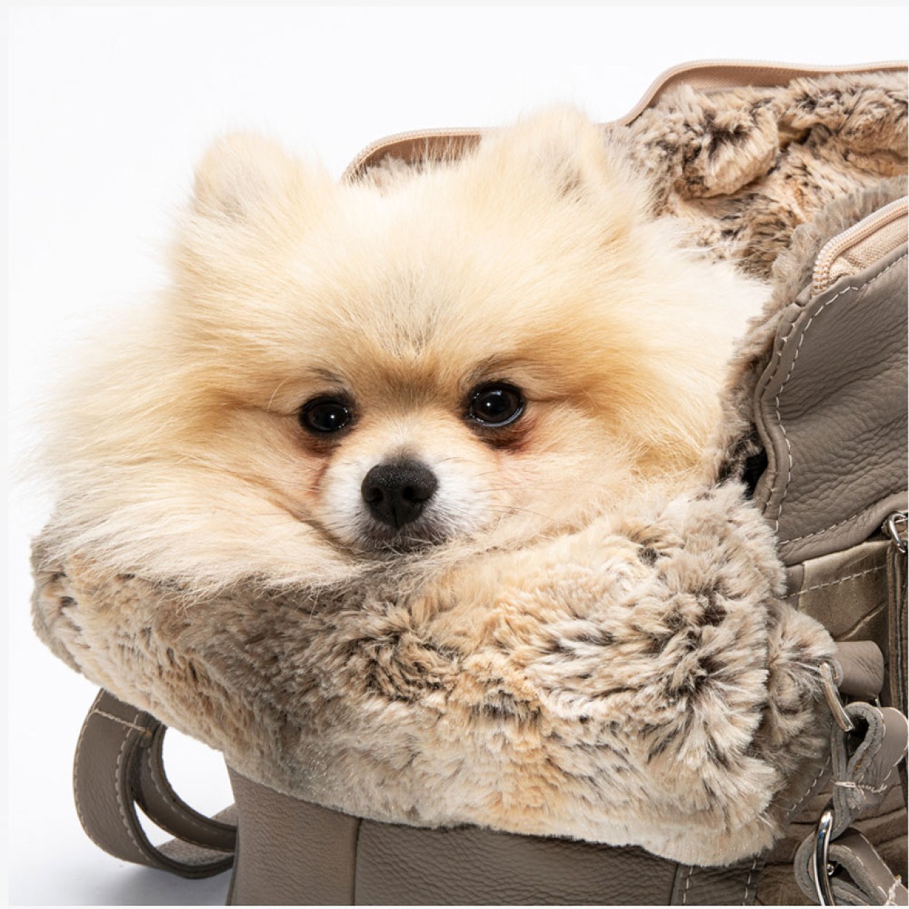 Rindsnappa-Hundetasche mit Kunstpelz My Petit taupe