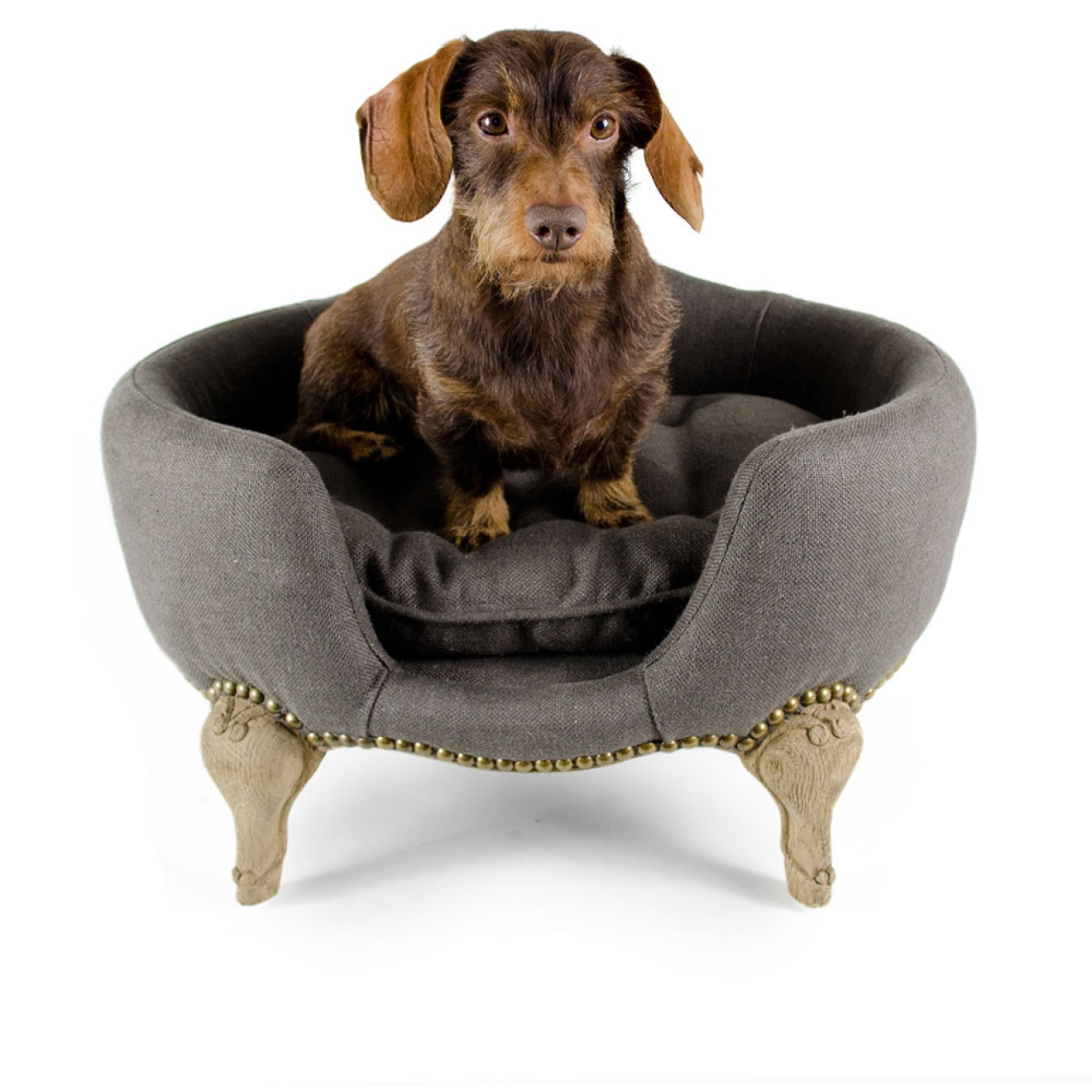 Rococo-Hundesofa Antoinette Anthrazite