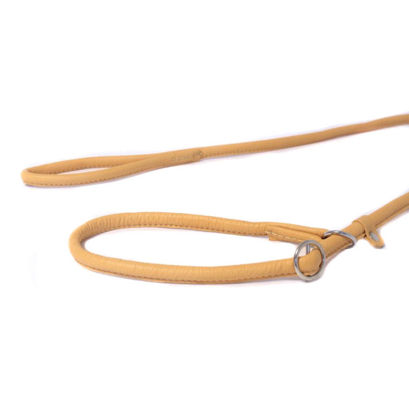 Showleine für mittelgroße und große Hunde in 5 Farben