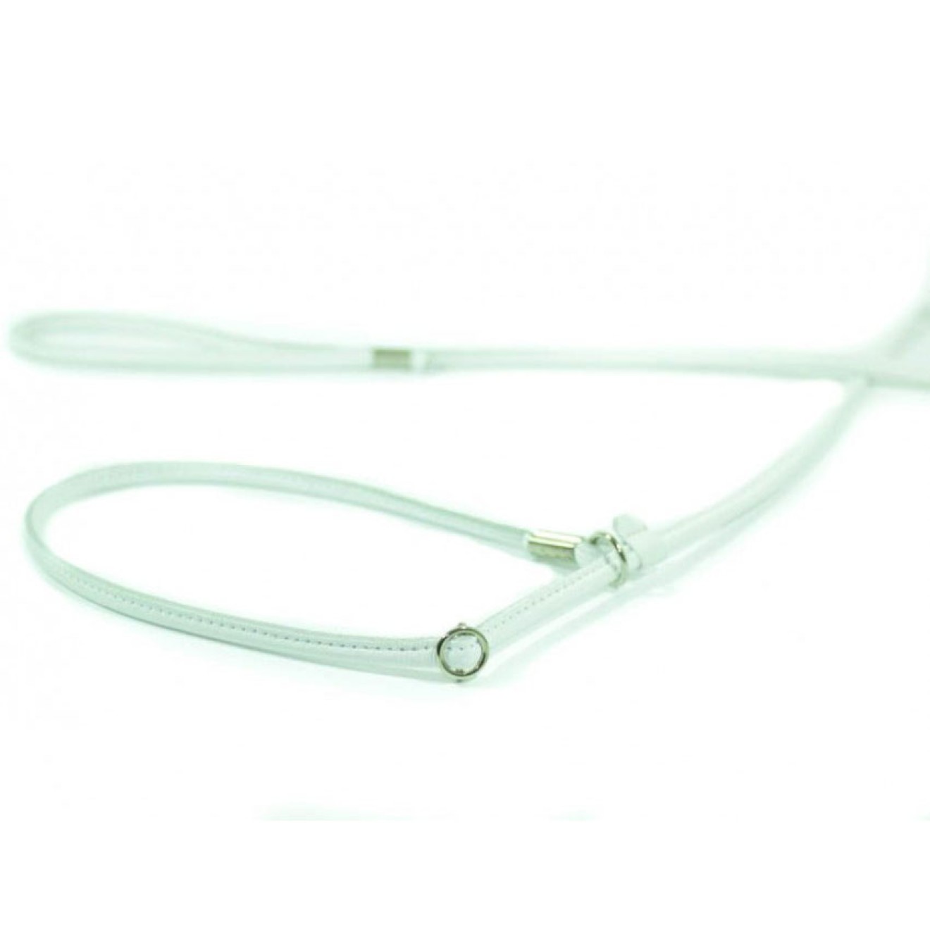 Showleine für kleine bis mittelgroße Hunde in 5 Farben