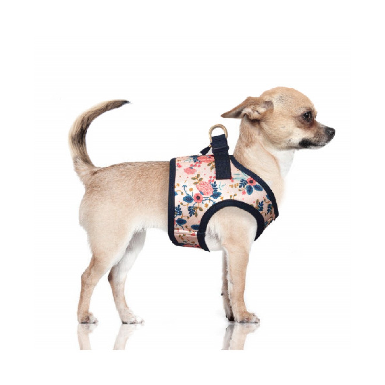 CAPUCINE Softgeschirr für kleine Hunde mit Blumen