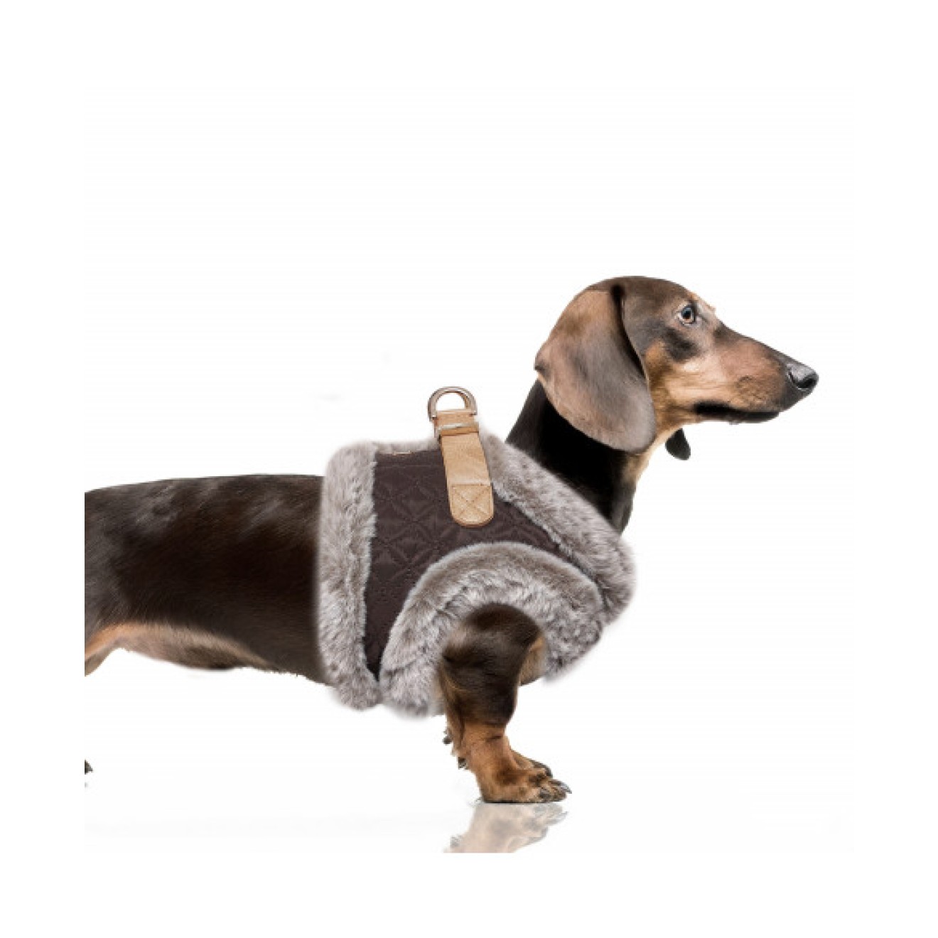 Softgeschirr MERYL mit Kunstfell auch für Dackel