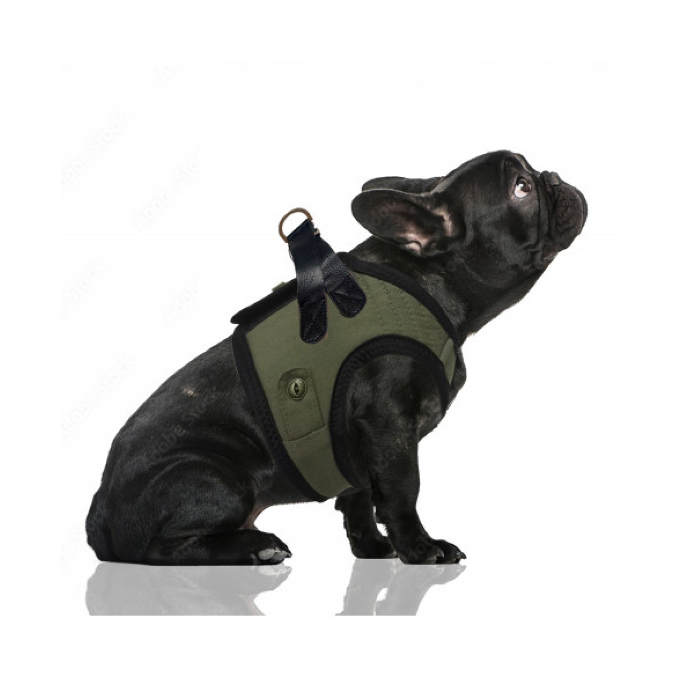 Milk & Pepper Soft-Hundegeschirr Harisson Kaki