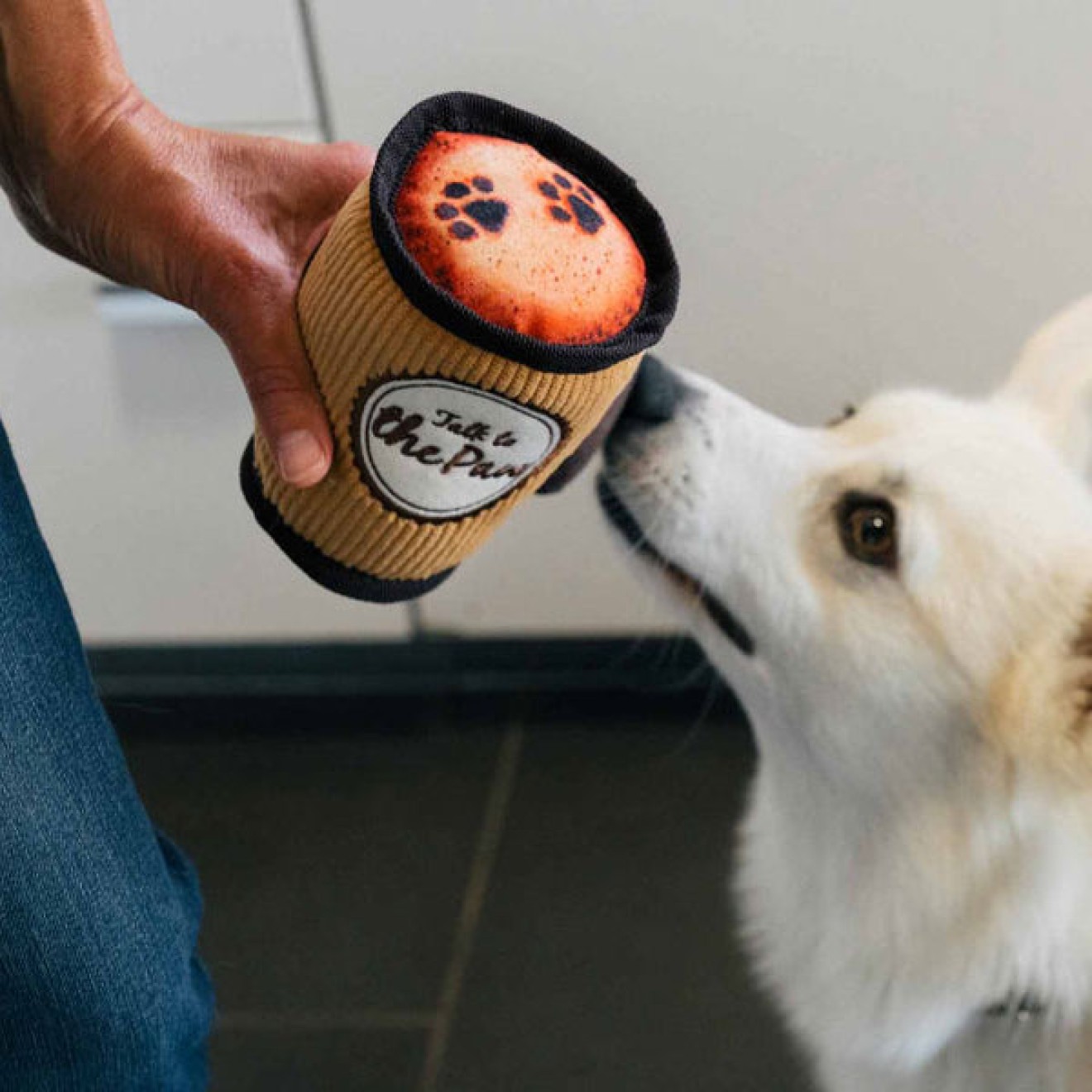 Robustes Hundespielzeug Coffee to Go mit abnehmbaren Deckel