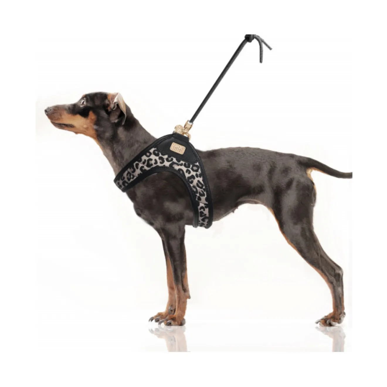 Step-In Hundegeschirr THALIA im Leo-Design