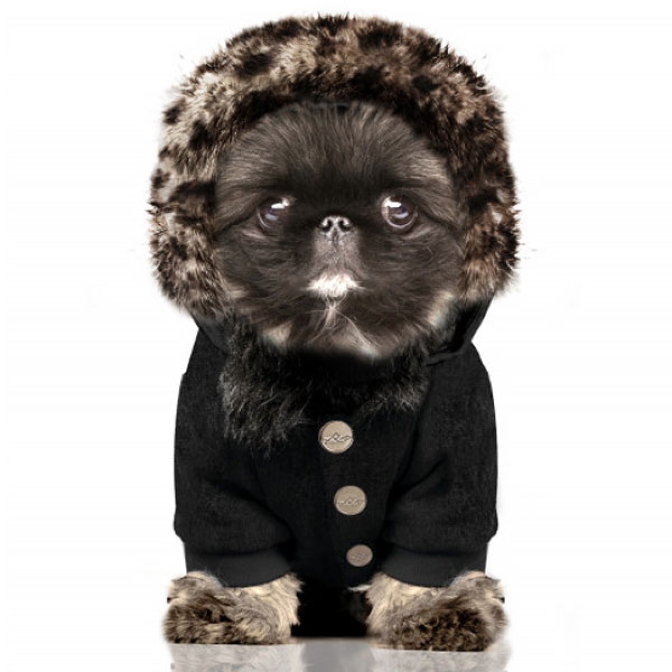 Milk & Pepper Hunde-Sweatshirtjacke KAFUE True Love