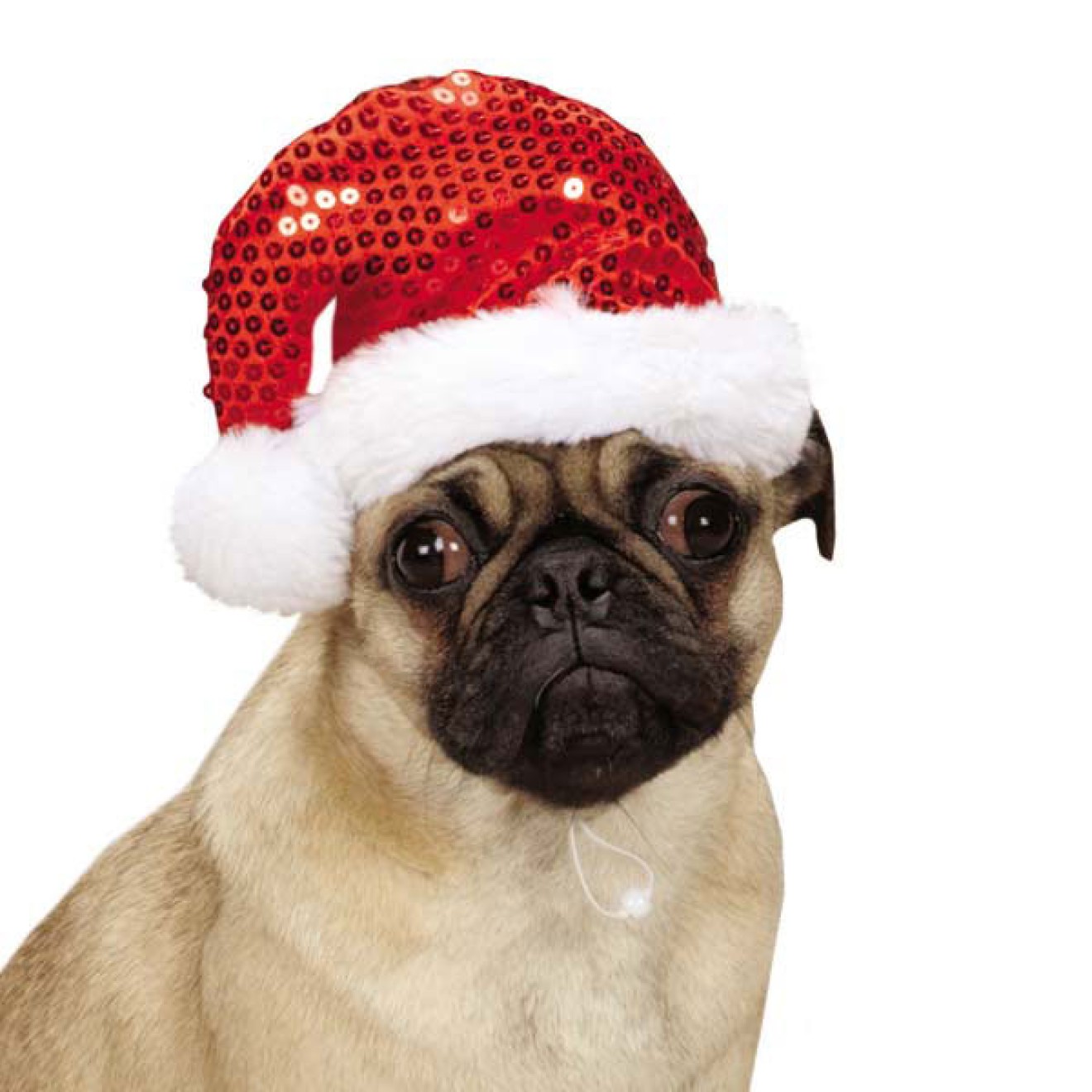 PaillettenWeihnachtsmütze für Hunde in 3 Grössen, HundeWeihnachtsmütze