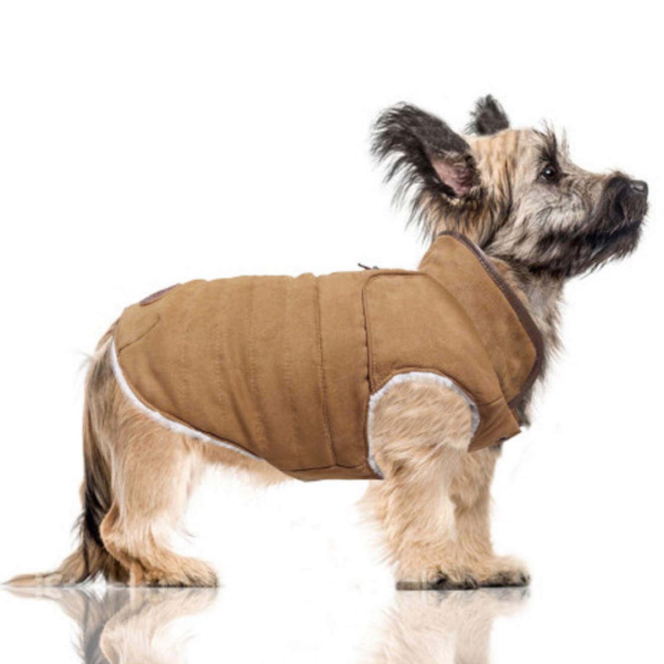 Wende-Hundemantel Kieran camel/offwhite Gr. 26