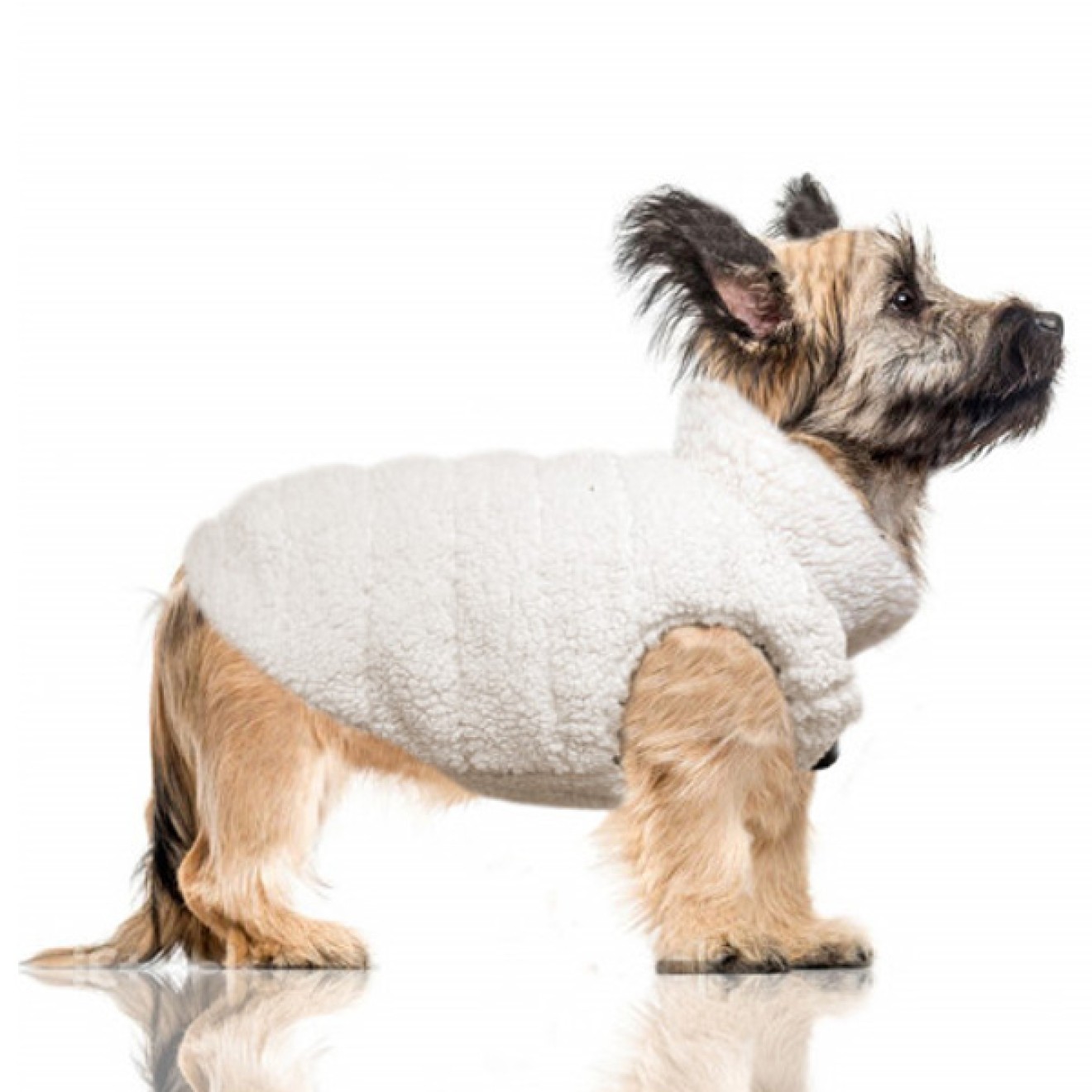 Wende-Hundemantel Kieran camel/offwhite Gr. 26