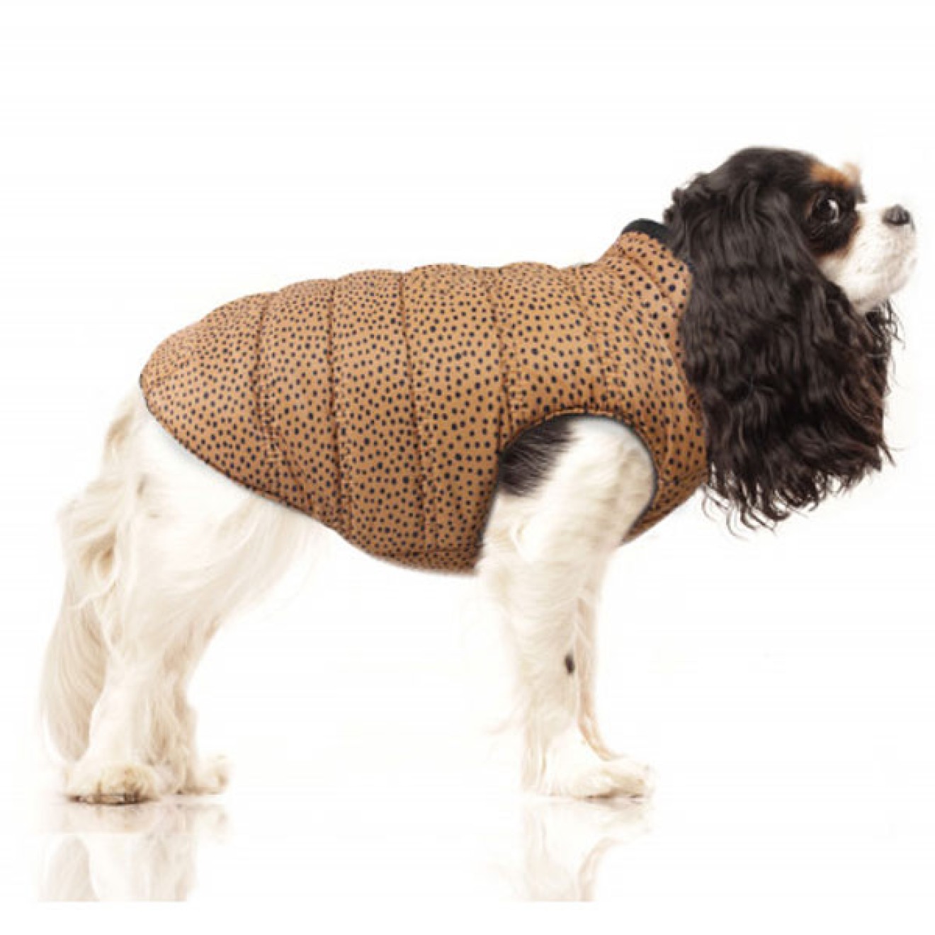 Milk & Pepper Hundemantel Kalani zum Wenden