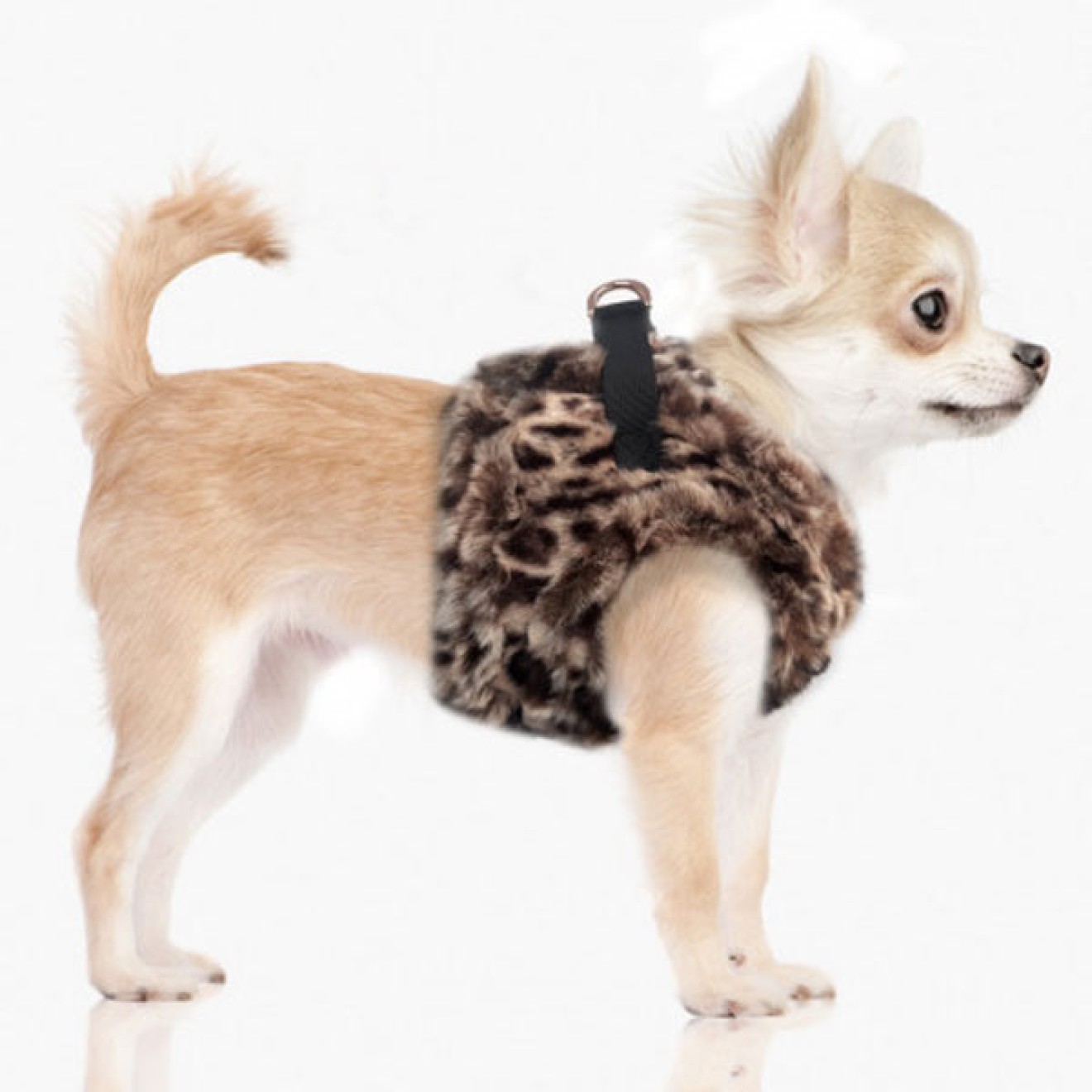 Milk & Pepper Westenbrustgeschirr Hawa Leo-Plüsch