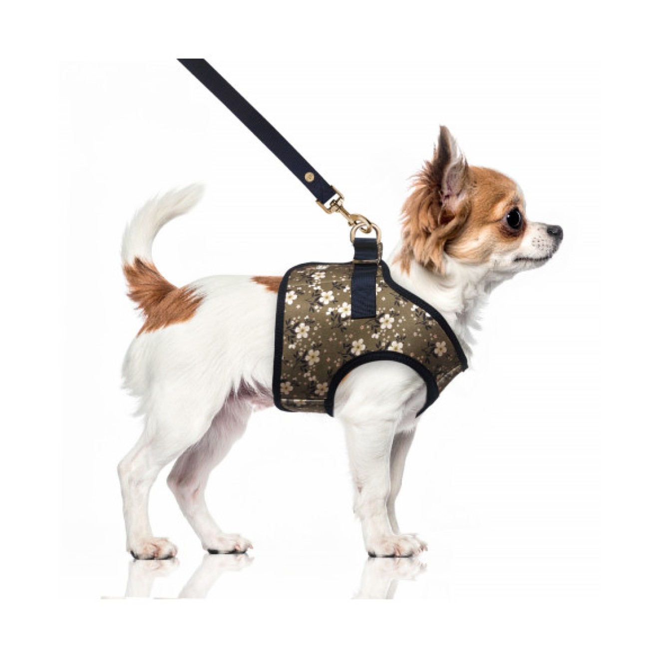 Westengeschirr für Hunde BETHANY Khaki mit Blumenmuster