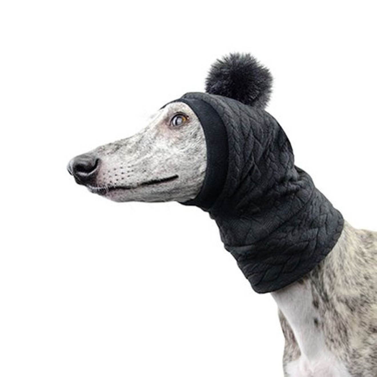 Strick-Hundemütze Bommelbello