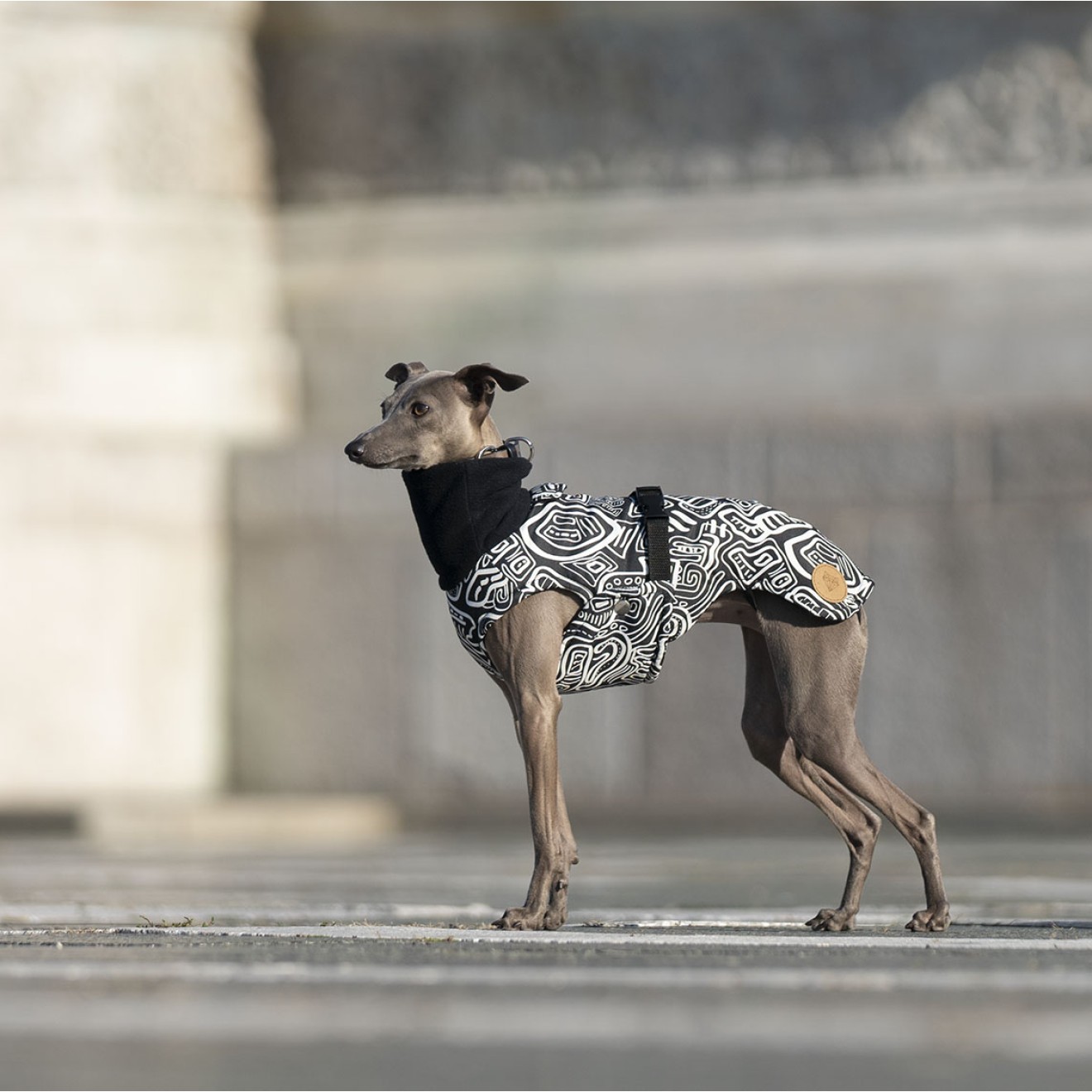 Gefütterter Whippetmantel Graphic