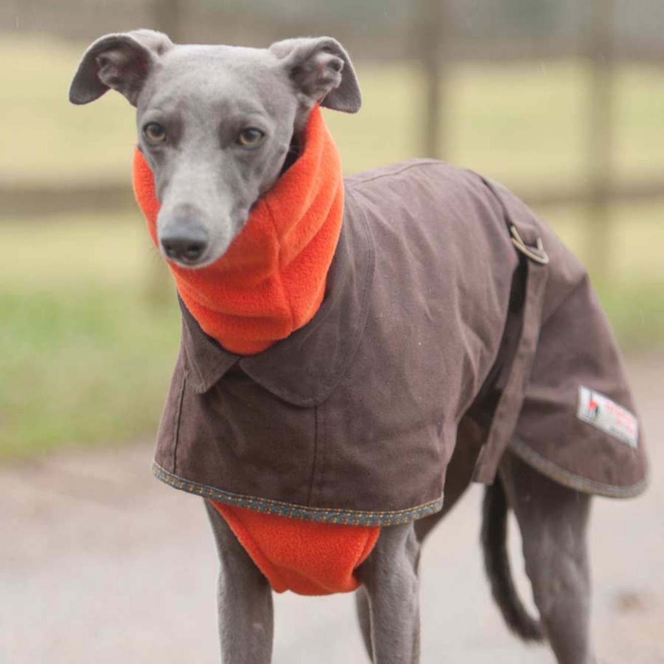 Fleece-Snood Windhund-Schal orange Grafschaft Kent