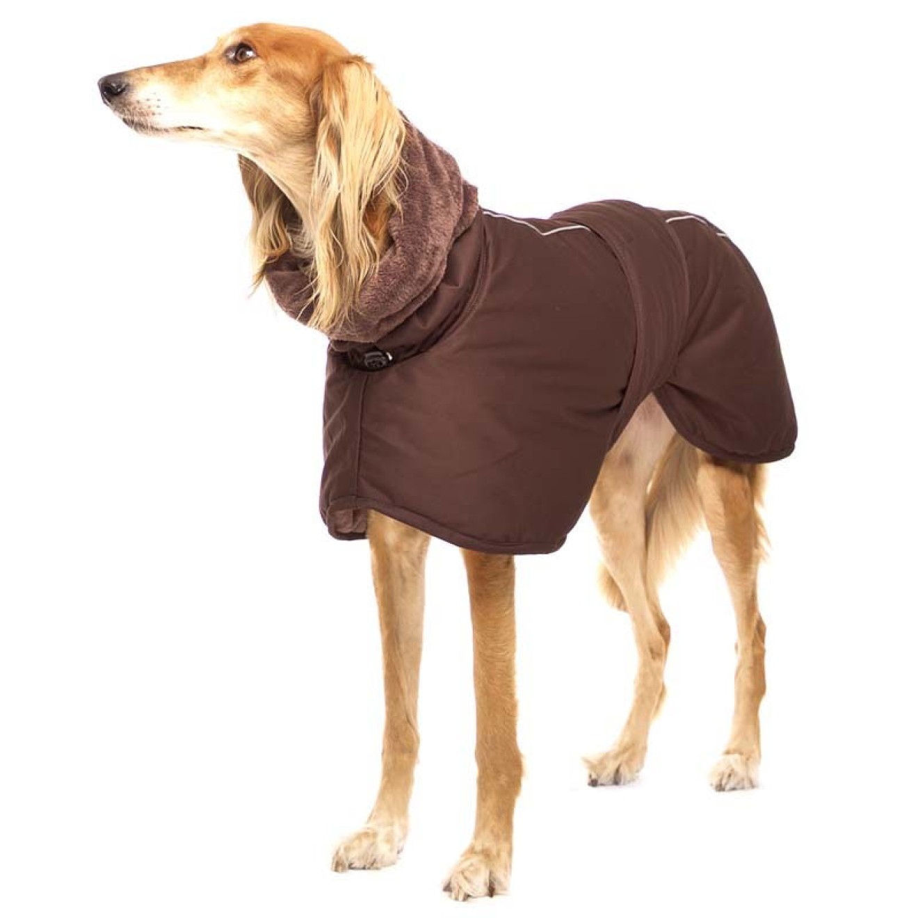 Winter-Windhund- und Whippetmantel Sting ELITE , Galgo ...