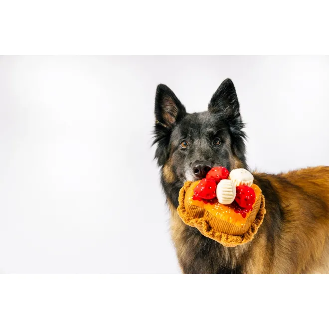 Robustes Hundespielzeug FRENCH TOAST