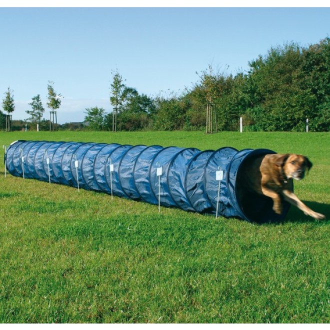 Agility Basic Tunnel