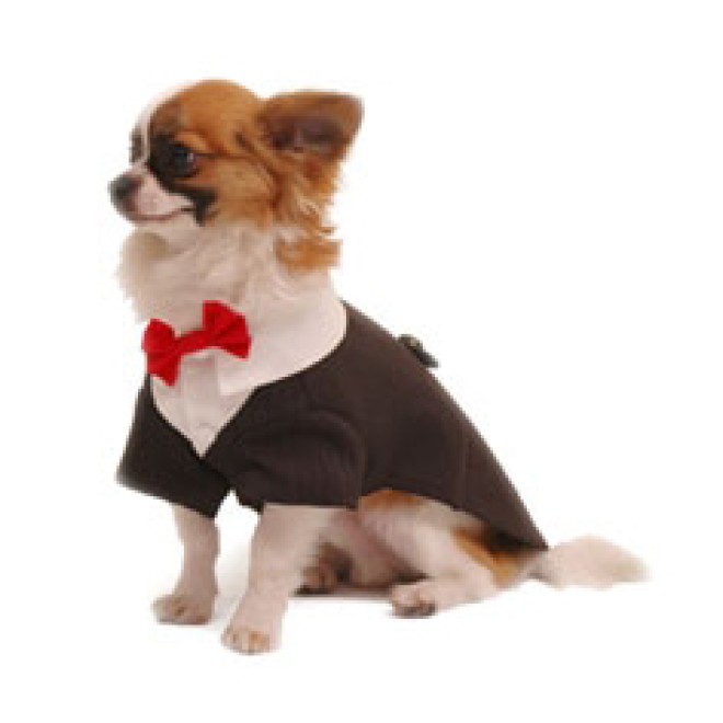 Hundesmoking LORD Gr. XXS für kleine Hunde