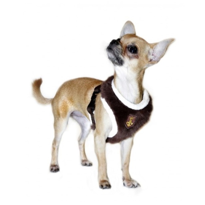 Softgeschirr Landlord schoko Gr. S