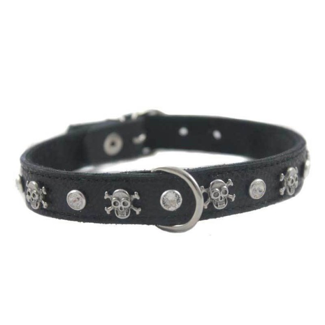 Hundehalsband Skull Black für kleine Hunde Längen 22 cm