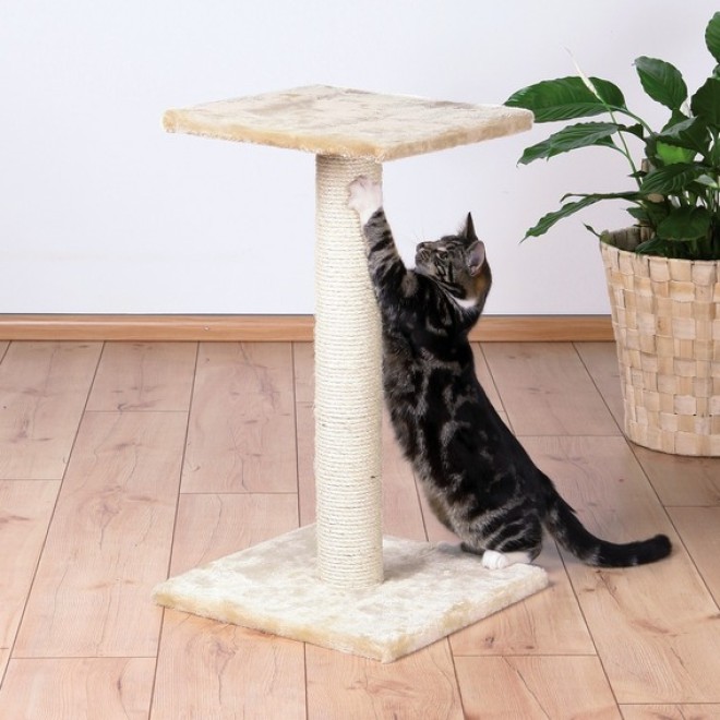 Günstiger Kratzbaum Espejo mit Ruhebrett, 69 cm