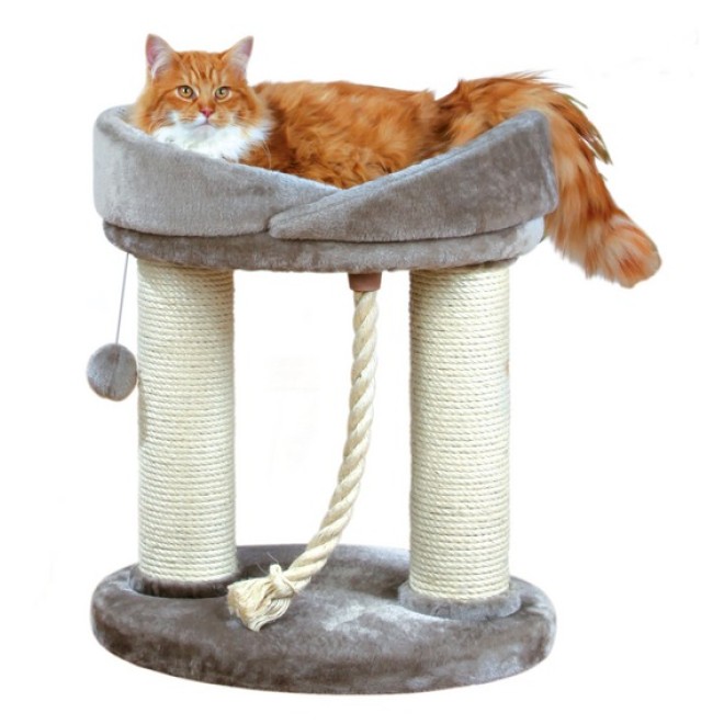 Kratzbaum Marcela mit abnehmbaren Kuschelbett, 60 cm